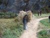 Paro