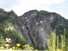Paro